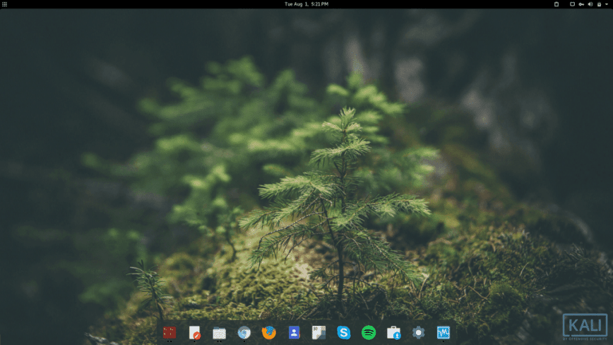 Kali Linux + Gnome everyday distro