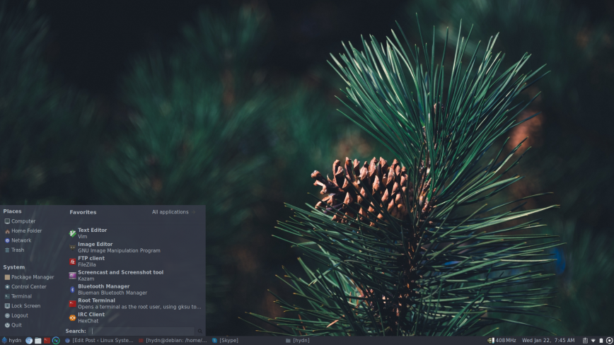 Pinebook Pro screenshot