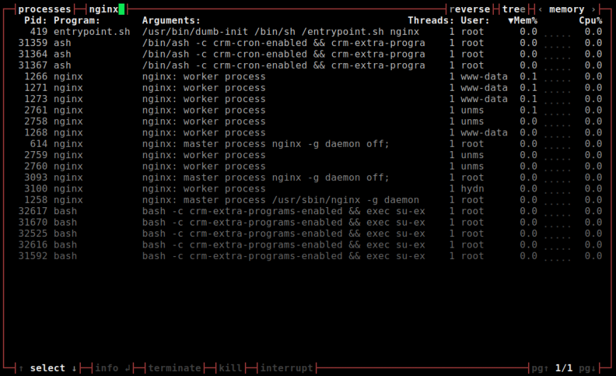 bashtop - filtering by process