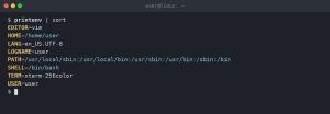 Linux Environment Variables: env, export, and /etc/environment